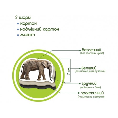 Набір магнітів Zoo photo Magdum ML4031-02 Набір магнітів Zoo photo Magdum ML4031-02