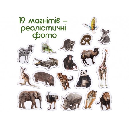 Набір магнітів Zoo photo Magdum ML4031-02 Набір магнітів Zoo photo Magdum ML4031-02