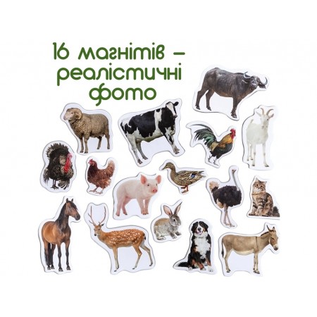 Набор магнитов Farm photo Magdum ML4031-04 Набор магнитов Farm photo Magdum ML4031-04