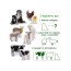 Набір магнітів Farm Mom and Baby Magdum ML4031-08 EN Набір магнітів Farm Mom and Baby Magdum ML4031-08 EN