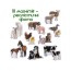 Набір магнітів Farm Mom and Baby Magdum ML4031-08 EN Набір магнітів Farm Mom and Baby Magdum ML4031-08 EN