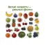 Набор магнитов Fruits and berries Magdum ML4031-11 EN