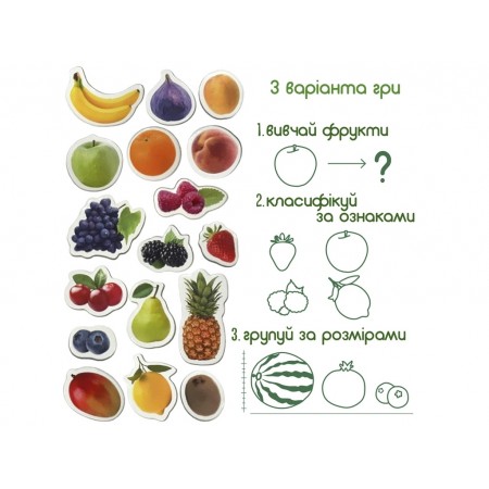 Набор магнитов Fruits and berries Magdum ML4031-11 EN
