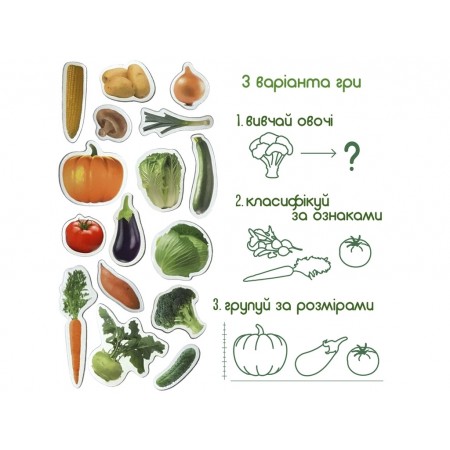 Набор магнитов Vegetables Magdum ML4031-12 EN Набор магнитов Vegetables Magdum ML4031-12 EN