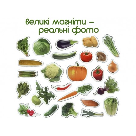 Набор магнитов Vegetables Magdum ML4031-12 EN Набор магнитов Vegetables Magdum ML4031-12 EN