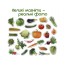 Набор магнитов Vegetables Magdum ML4031-12 EN Набор магнитов Vegetables Magdum ML4031-12 EN