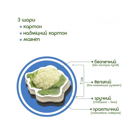 Набор магнитов Vegetables Magdum ML4031-12 EN Набор магнитов Vegetables Magdum ML4031-12 EN
