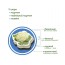 Набор магнитов Vegetables Magdum ML4031-12 EN Набор магнитов Vegetables Magdum ML4031-12 EN