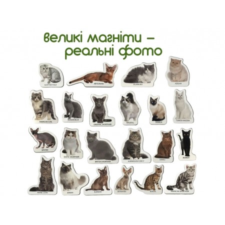 Набір магнітів Breeds of cats Magdum ML4031-13 EN Набір магнітів Breeds of cats Magdum ML4031-13 EN