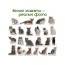 Набір магнітів Breeds of cats Magdum ML4031-13 EN Набір магнітів Breeds of cats Magdum ML4031-13 EN