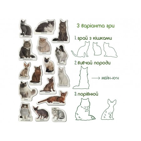 Набір магнітів Breeds of cats Magdum ML4031-13 EN Набір магнітів Breeds of cats Magdum ML4031-13 EN