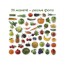 Набор магнитов Fruits and vegetables Magdum ML4031-15 EN Набор магнитов Fruits and vegetables Magdum ML4031-15 EN