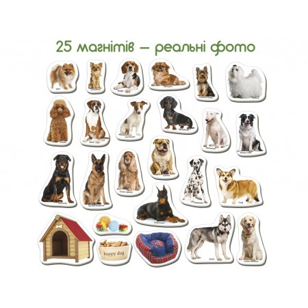 Набор магнитов Breeds of dogs Magdum ML4031-20EN