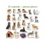 Набор магнитов Breeds of dogs Magdum ML4031-20EN