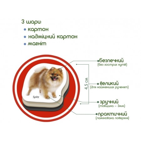 Набор магнитов Breeds of dogs Magdum ML4031-20EN