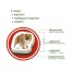 Набор магнитов Breeds of dogs Magdum ML4031-20EN