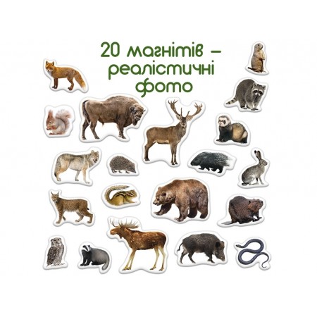 Набір магнітів Forest photo Magdum ML4031-29 EN Набір магнітів Forest photo Magdum ML4031-29 EN