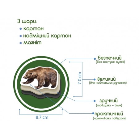 Набір магнітів Forest photo Magdum ML4031-29 EN Набір магнітів Forest photo Magdum ML4031-29 EN