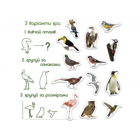 Набор магнитов Birds photo Magdum ML4031-30 EN Набор магнитов Birds photo Magdum ML4031-30 EN