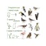 Набор магнитов Birds photo Magdum ML4031-30 EN Набор магнитов Birds photo Magdum ML4031-30 EN