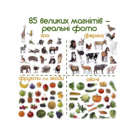 Набор магнитов 4in1 Вaby world 85 шт Magdum ML4031-61 EN
