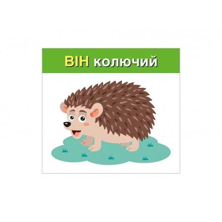 Изучаем местоимения ОН,ОНА, ОНО, ОНИ; учебные карточки 525081 Изучаем местоимения ОН,ОНА, ОНО, ОНИ; учебные карточки 525081