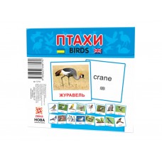 Карточки мини Птицы 110х110 мм ZIRKA 72753 286288
