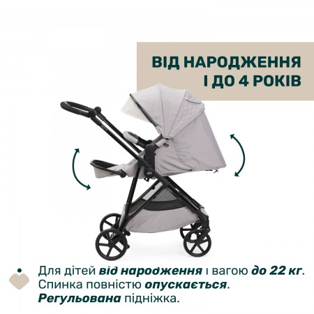 Коляска 2 в 1 Seety арт. 87097.70.01 цвет Серый Коляска 2 в 1 Seety арт. 87097.70.01 цвет Серый