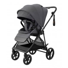 Прогулянкова коляска CARRELLO Extra CRL-6532 Chrome Grey 