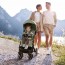 Прогулянкова коляска Dolomiti арт. 87163.52 колір Оливковий