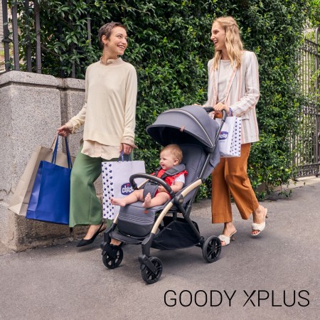 Прогулочная коляска Goody XPlus арт. 87040.31 цвет Черный Прогулочная коляска Goody XPlus арт. 87040.31 цвет Черный