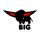 BIG