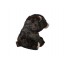М'яка іграшка Beanie Babies Бурий ведмiдь KODI 25 cм TY 90288