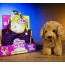 М'яка іграшка BabyToys CH 6038 B холофайбер 25 см М'яка іграшка BabyToys CH 6038 B холофайбер 25 см