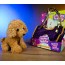 М'яка іграшка BabyToys CH 6038 B холофайбер 25 см М'яка іграшка BabyToys CH 6038 B холофайбер 25 см