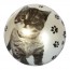 М'яч дитячий MS 1591, 9 дюймів, малюнок кіт