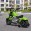 Дитячий мотоцикл Harley-Davidson Fat Boy M 6016AL-5, 1 мотор 350W, Bluetooth, USB, TF, екошкіра, надувні гумові колеса, зелений