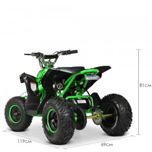 Детский электро квадроцикл для подростков PROFI HB-EATV1000Q-5ST (MP3) V2, зеленый