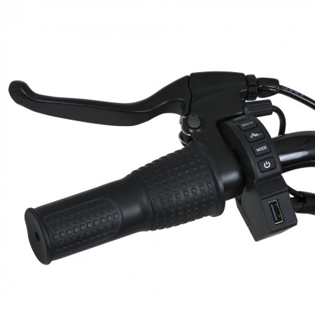 Дитячий мотоцикл Harley-Davidson Fat Boy M 6016AL-5, 1 мотор 350W, Bluetooth, USB, TF, екошкіра, надувні гумові колеса, зелений