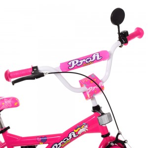 Велосипед дитячий двоколісний PROFI T2062 Original girl, 20 дюймів, малиновий