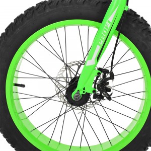 Велосипед фэтбайк Profi POWER 20 дюймов, рама 13", зелено-черный (EB20POWER 1.0 S20.2)