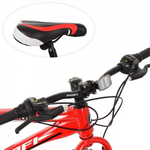 Велосипед фетбайк Profi POWER 20 дюймів, рама 13 ", червоний (EB20POWER 1.0 S20.)