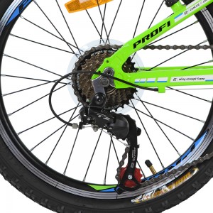 Велосипед горный MTB Profi A315 20 дюймов, рама 10", зеленый (G20A315-L-2B)