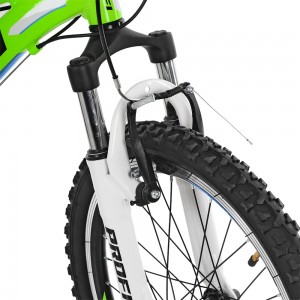 Велосипед гірський MTB Profi A315 20 дюймів, рама 10 ", зелений (G20A315-L-2B)
