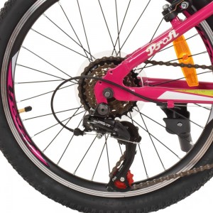 Велосипед гірський MTB Profi CARE 20 дюймів, рама 12 ", малиновий (G20CARE A20.1)