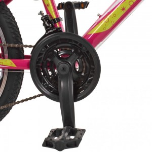 Велосипед горный MTB Profi CARE 20 дюймов, рама 12", малиновый (G20CARE A20.1)