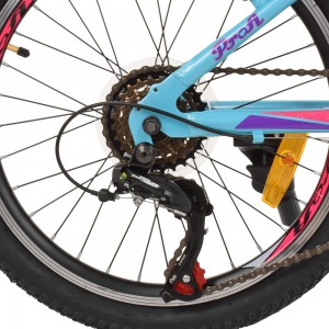 Велосипед гірський MTB Profi CARE 20 дюймів, рама 12 ", блакитний (G20CARE A20.2)