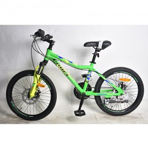 гірський Велосипед MTB Profi SWIFT 20 дюймів, рама 12,5", салатовий (G20SWIFT A20.1)