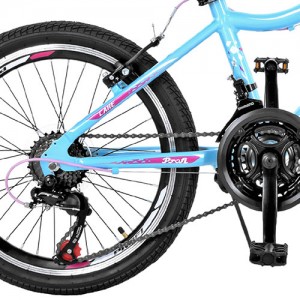 Велосипед горный MTB Profi CARE 20 дюймов,  рама 12", голубой (GW20CARE A20.2)