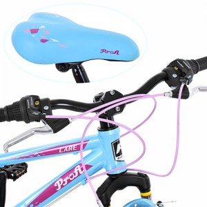 Велосипед горный MTB Profi CARE 20 дюймов,  рама 12", голубой (GW20CARE A20.2)